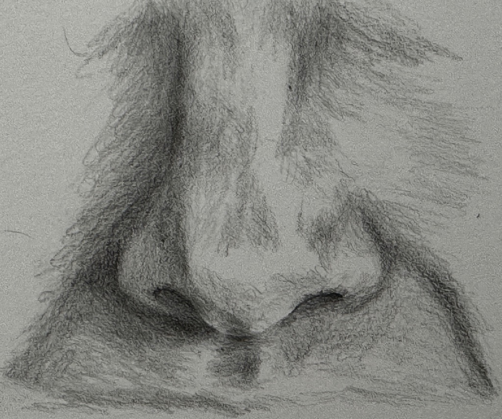 Drawing a Nose with Graphite Pencil Skill Building