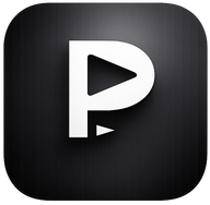 Playbook Studio logo