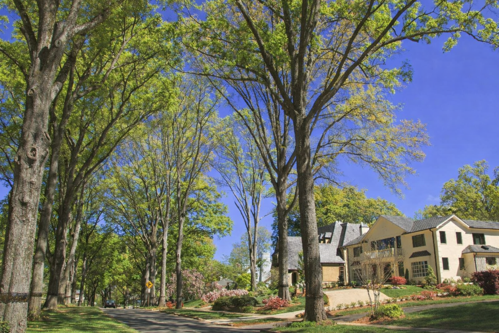 Ballantyne, Charlotte — master-planned south Charlotte community