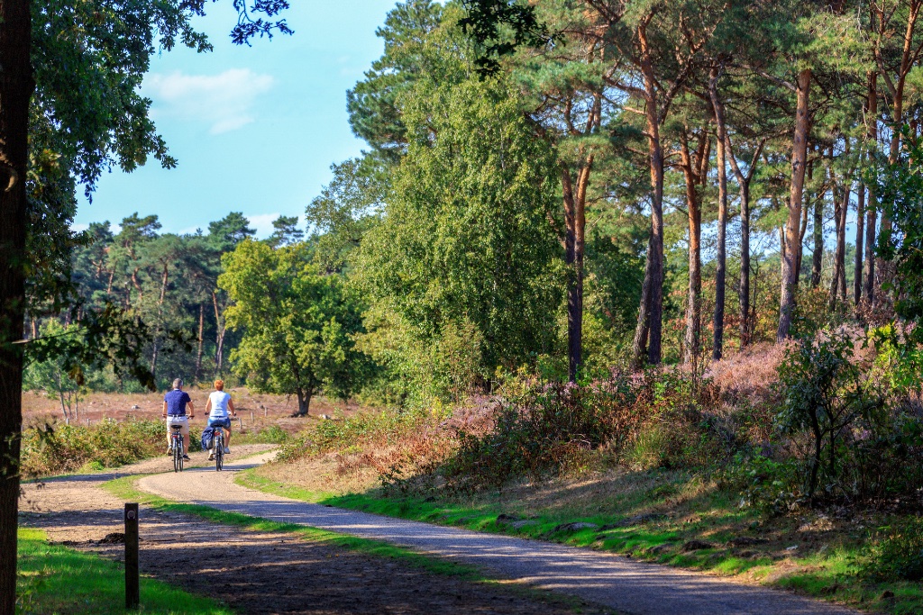 Fietsers bij de Hatertse vennen
