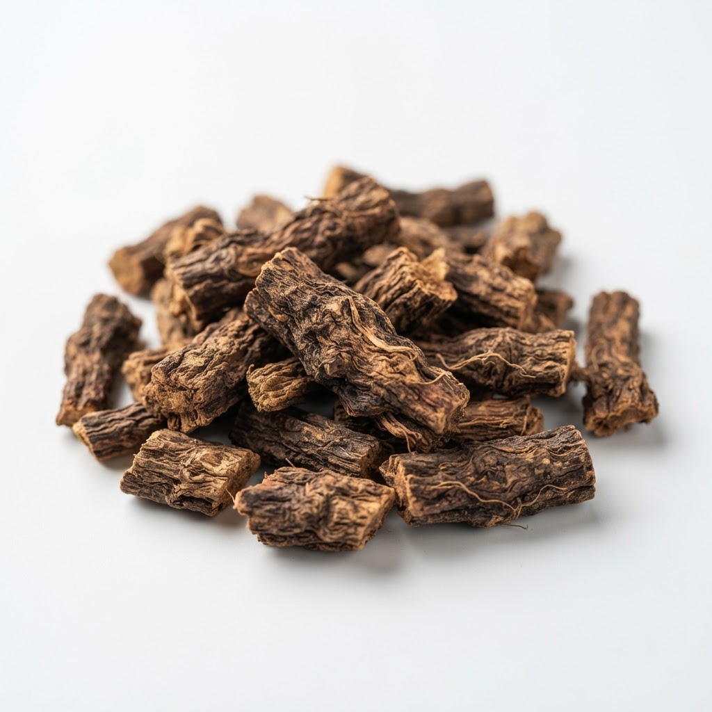 Sarsaparilla