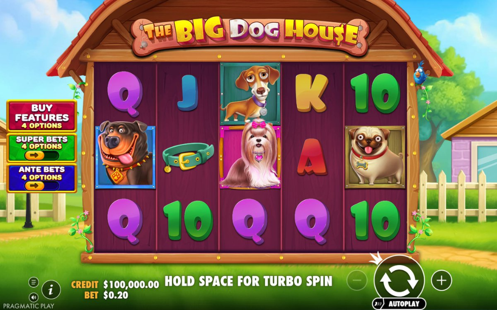 The Big Dog House