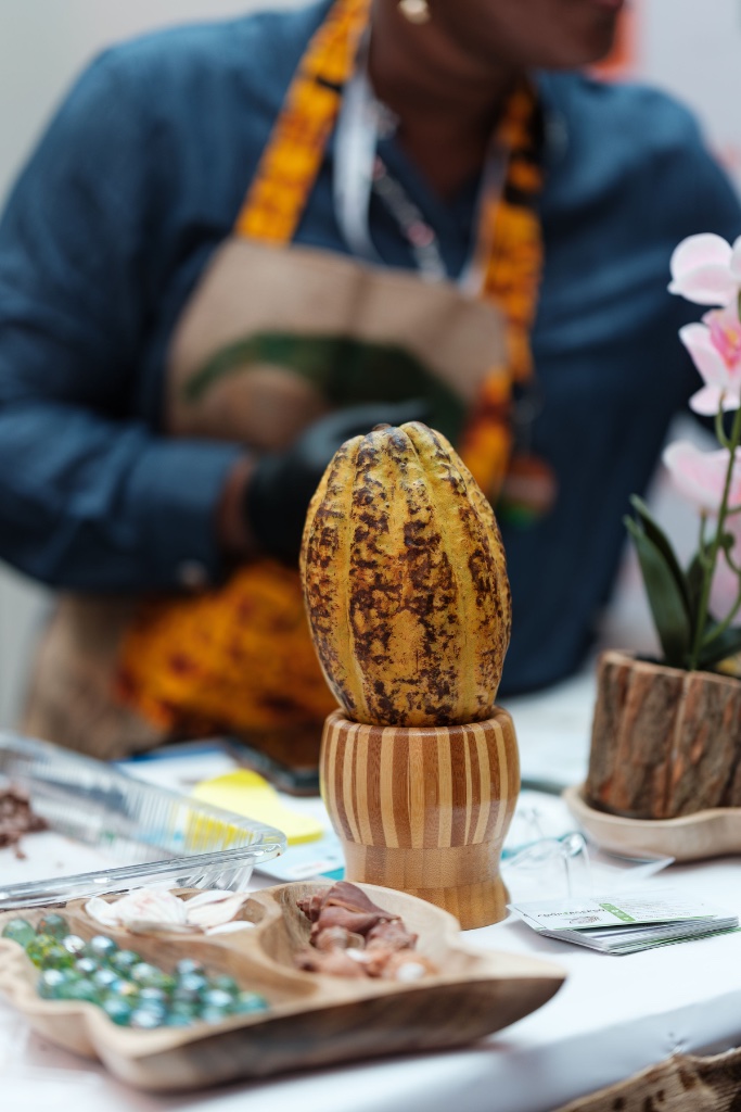 Côte d'Ivoire cocoa — fair trade chocolate explained single origin