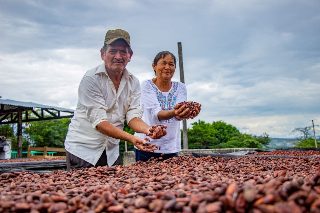 International cacao delegation — Salon du Chocolat Toronto 2026