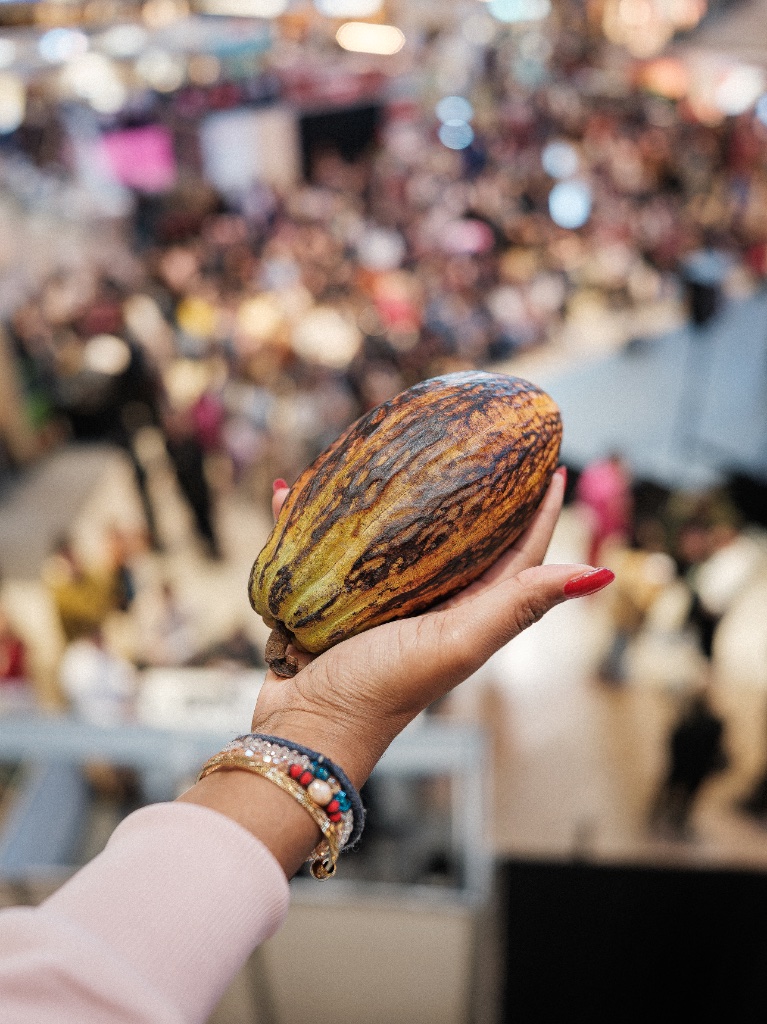 Cocoa beans on a table — how to make artisan chocolate at home