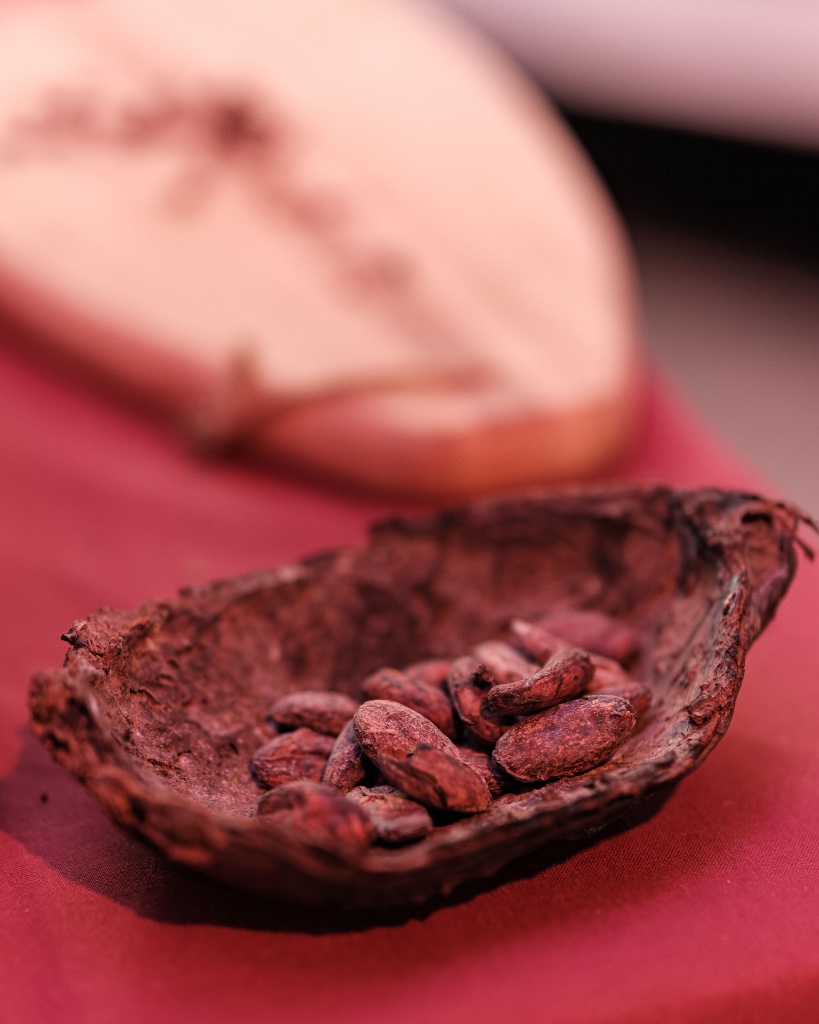 Cocoa beans origin — single origin chocolate meaning