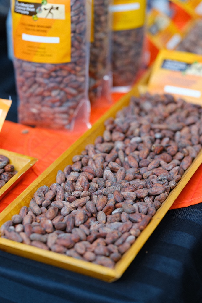 Best cocoa beans in the world — bean to bar chocolate process