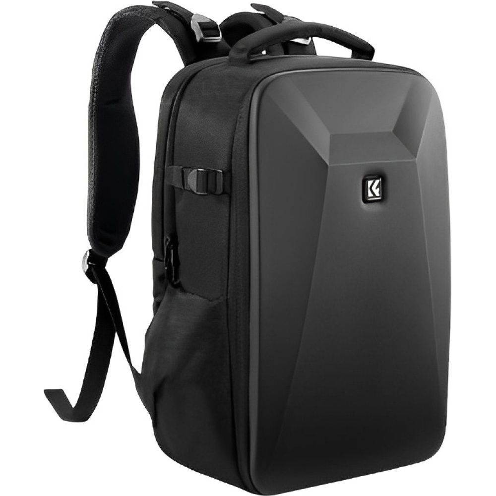 SONY CAREGADOR DUPLO FW50