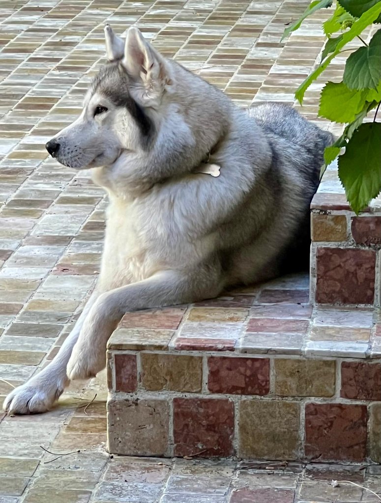Skadi resting