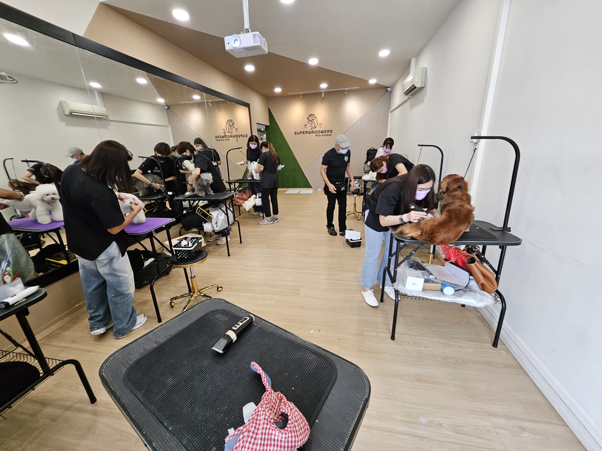 Students learning at Supergroomers Pets Academy