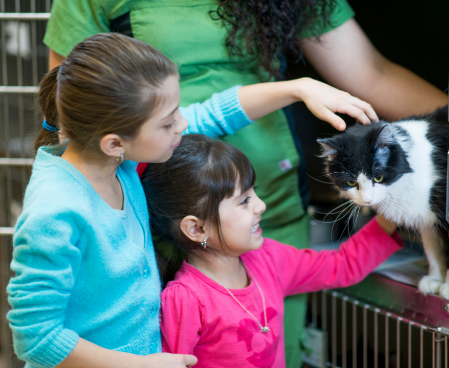 Children meeting a rescue cat