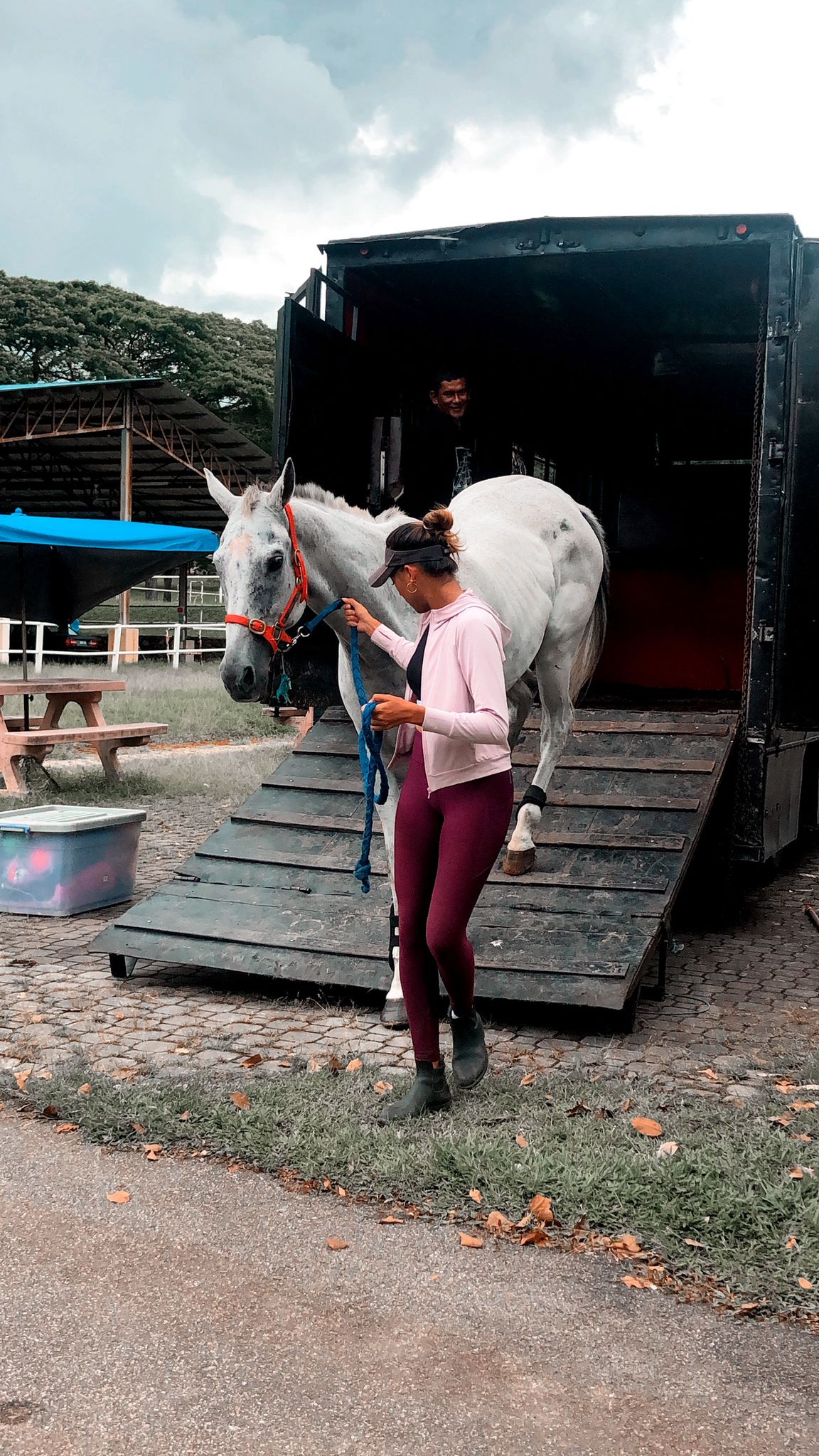 Leading him down the ramp of the trailer on the day we first brought him home.