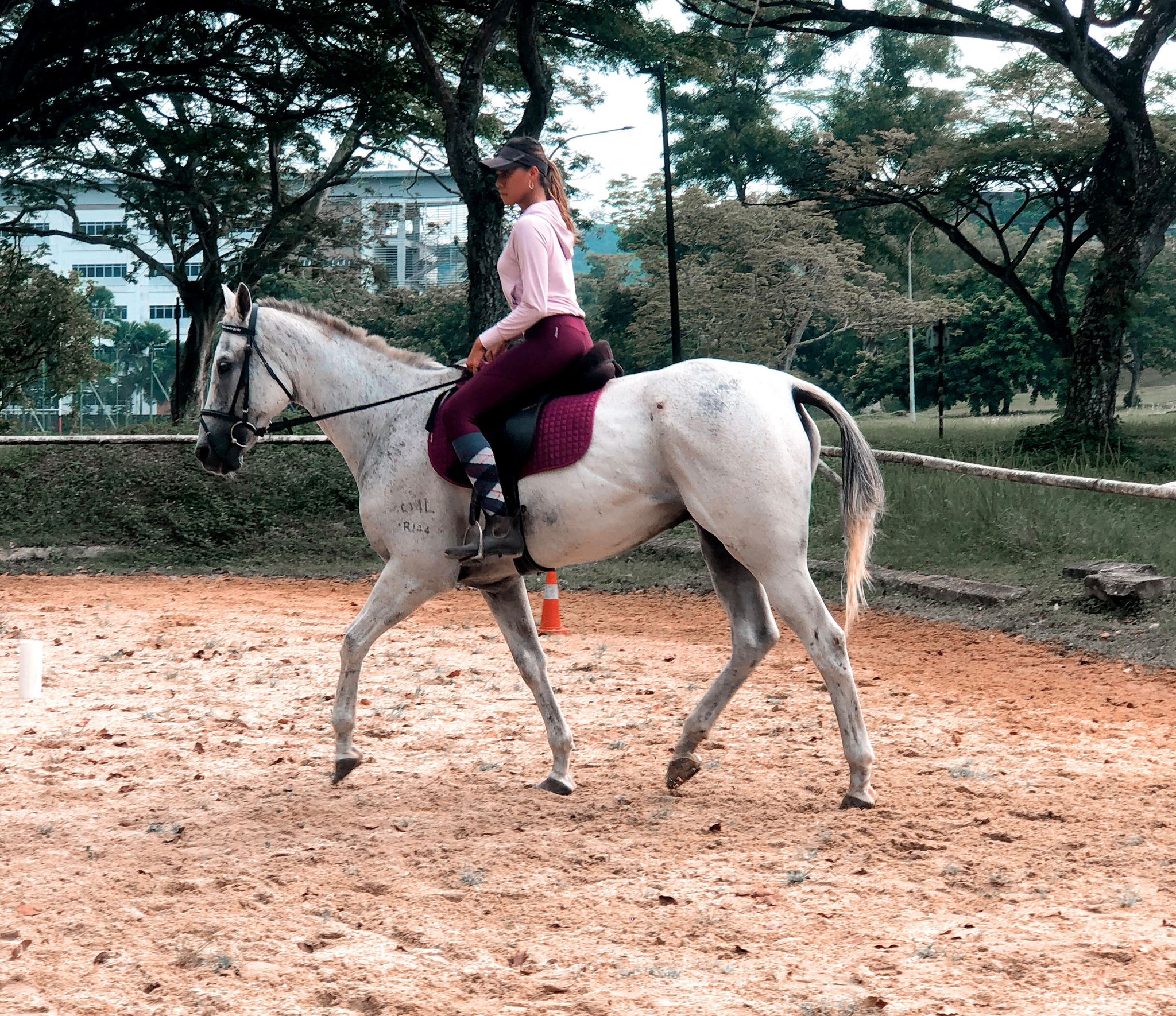 A Girl, Her Horse & a Love Like No Other