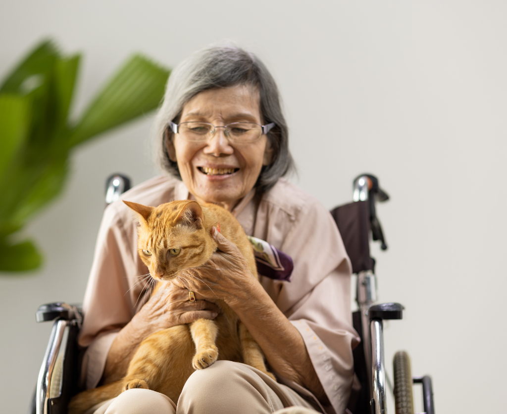 A senior woman in a wheelchair holds and smiles at an orange cat