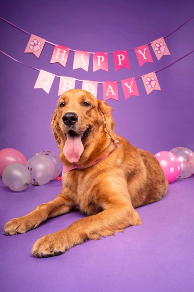 Birthday shoot