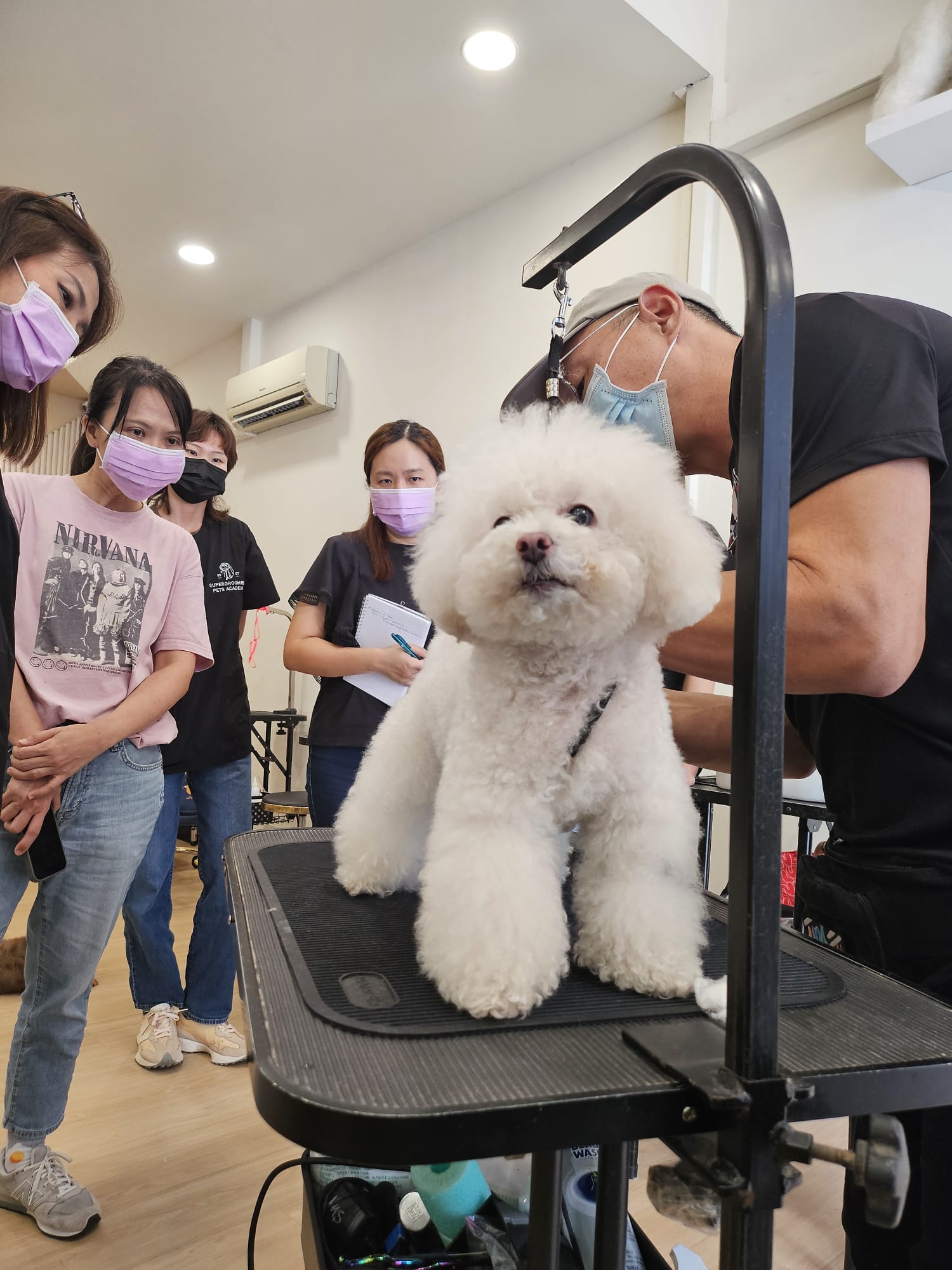 A class in session at Supergroomers