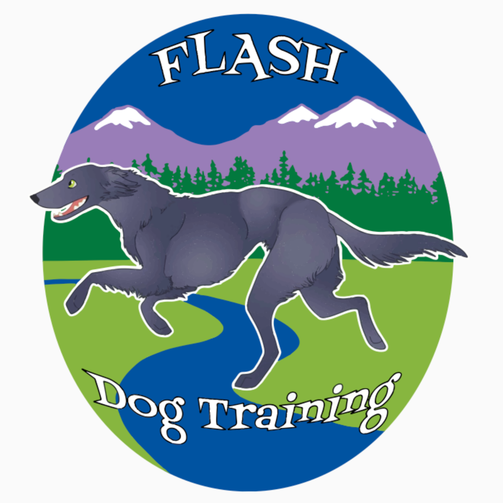 Flash Dog Training