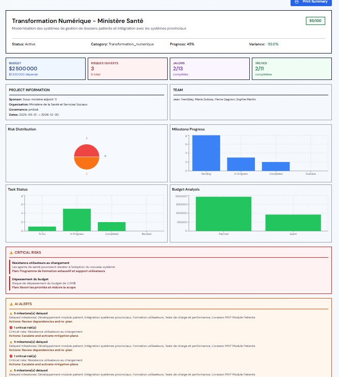 Executive project report