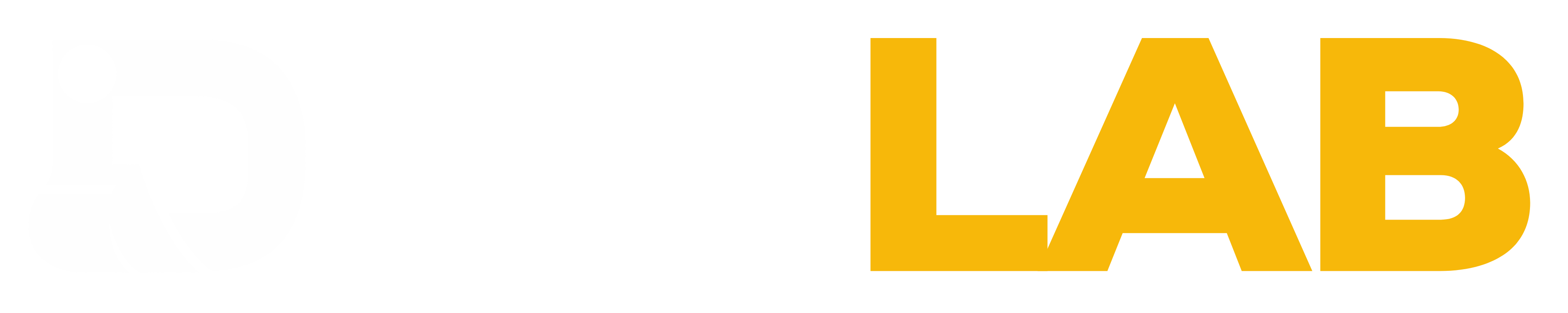 DirtLab RC
