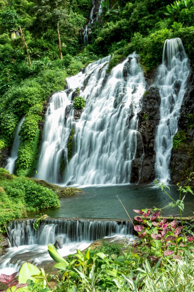 Ubud Monkey Forest