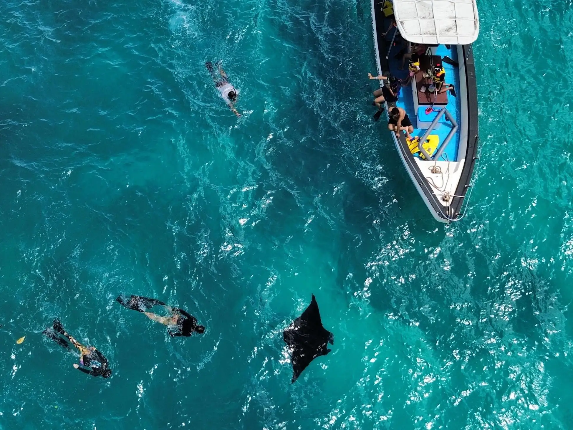 Nusa Penida West Coast & Oceanic Manta Snorkeling Safari