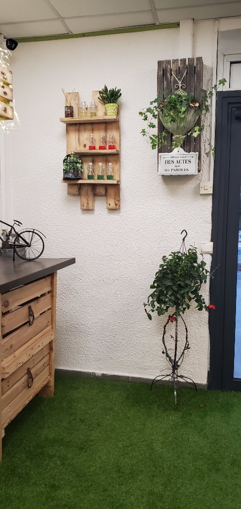 Décoration murale en palette avec plantes
