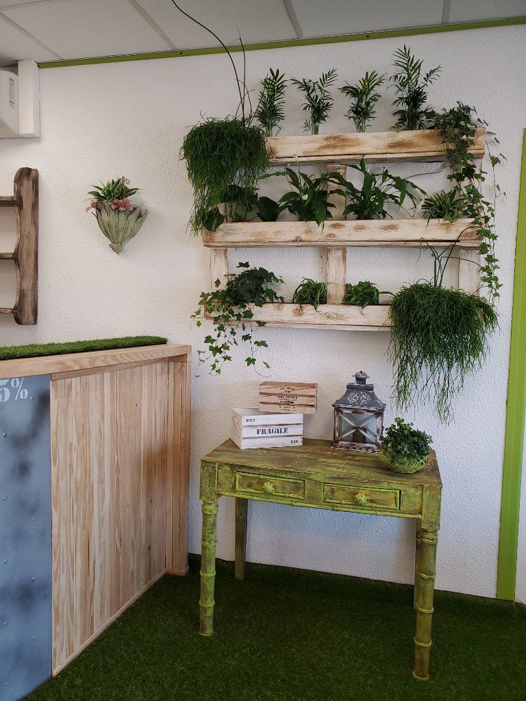 Mur végétal avec étagère en palette - vue juillet 2020