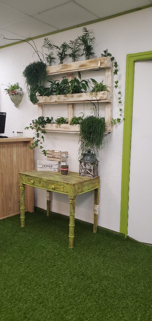 Étagères végétales en palette et table verte bambou