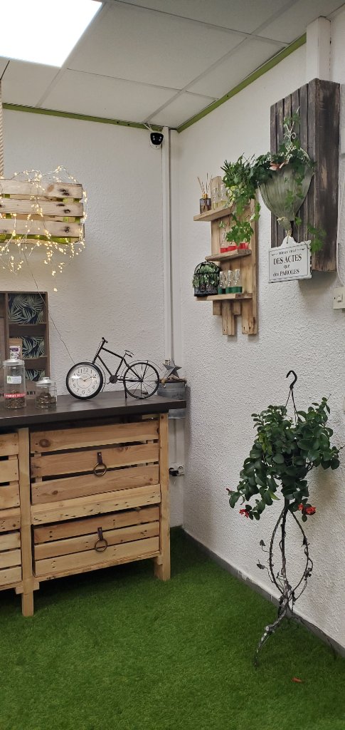 Mur végétal avec étagères en palette, plantes retombantes