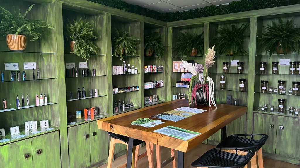 Buffet vert avec papier peint tropical et grande plante Monstera