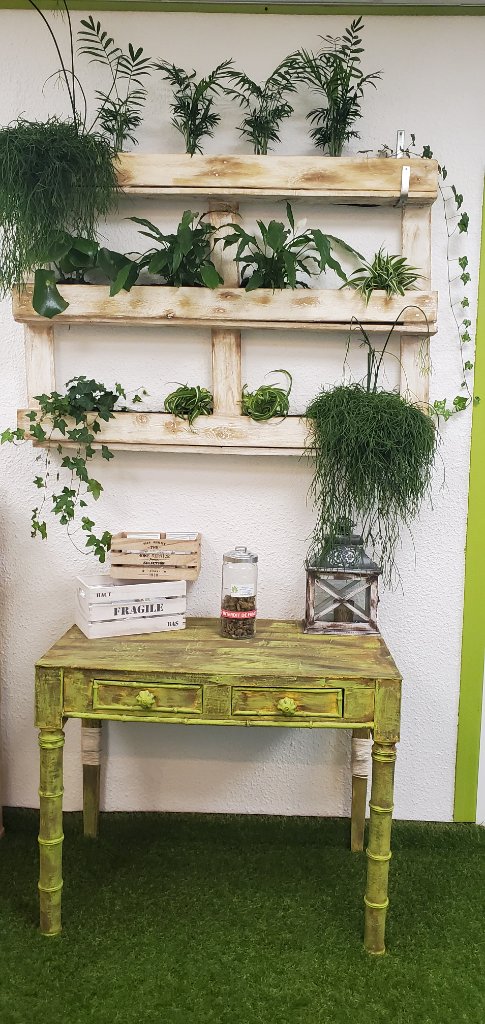 Détail des étagères en palette avec plantes vertes