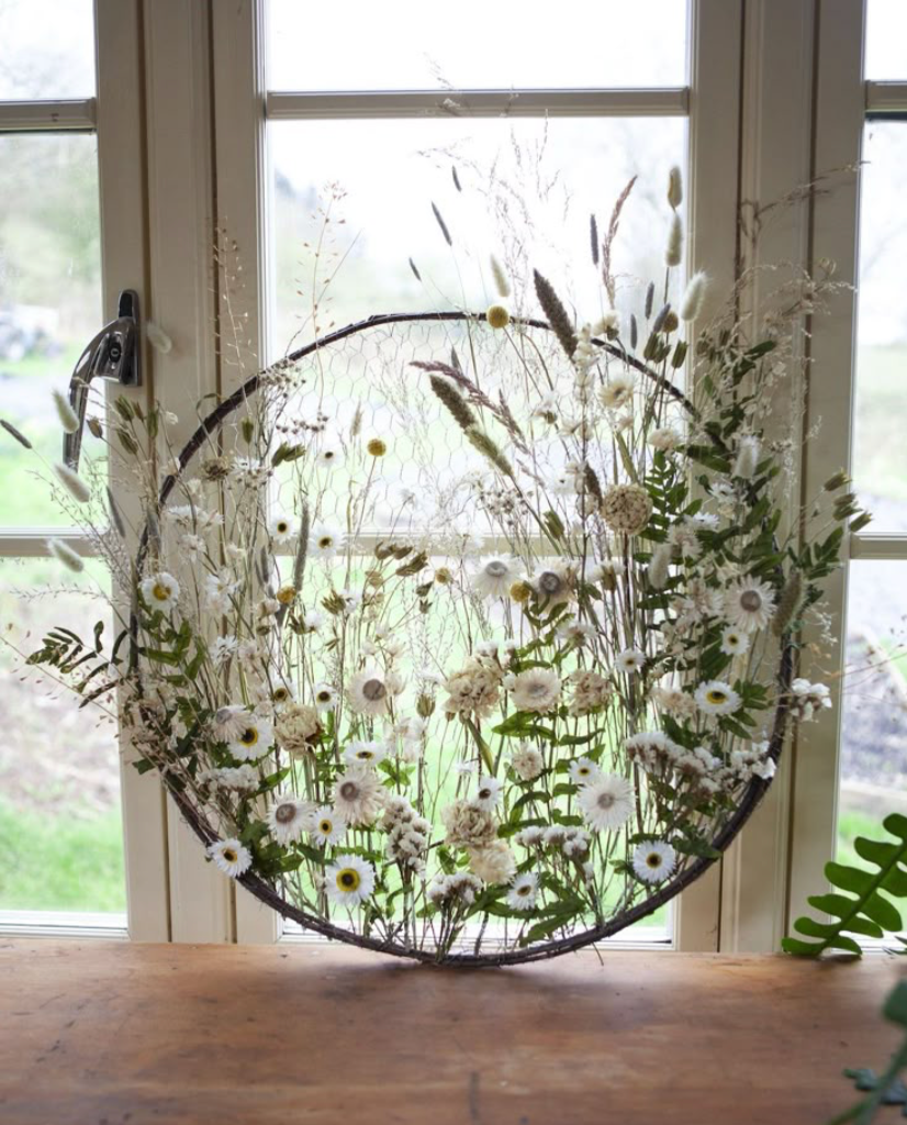 Assemblage & Plantes Vertes