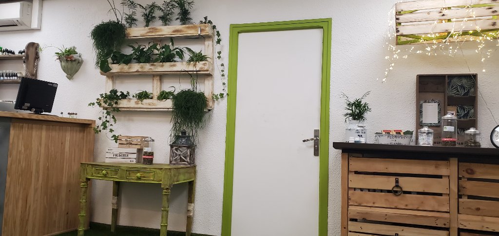 Comptoir avec porte encadrée vert, étagères en palette végétalisées