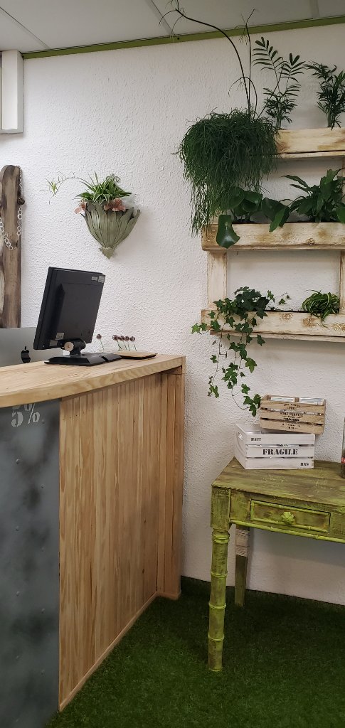 Zone comptoir avec mur végétal en arrière-plan