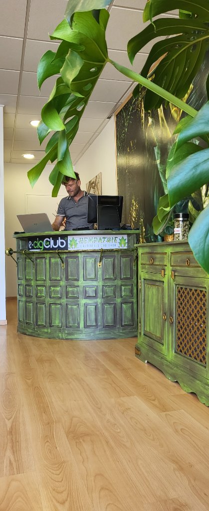 Comptoir vert avec vendeur, Monstera et buffet
