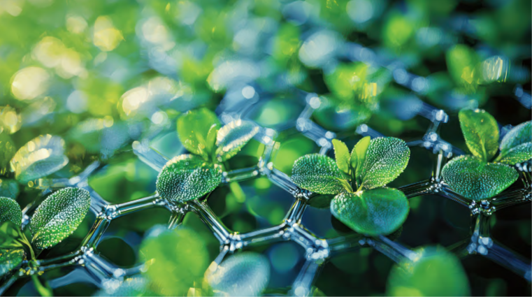 Hexagonal leaf lattice