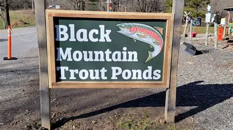 Black Mountain Trout Ponds and Fishing Shack