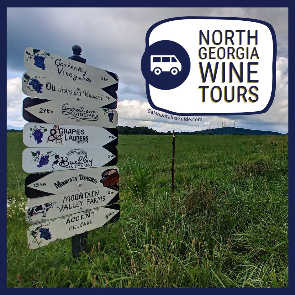 Vineyard Hoppers, North Georgia Wine Tours