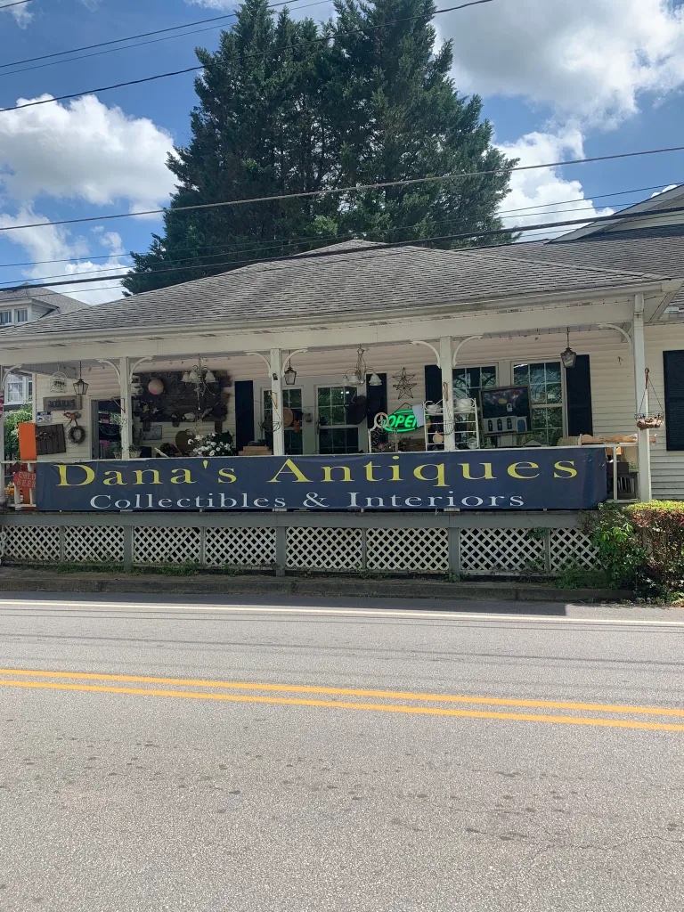 Dana's Antiques Collectibles & Interiors