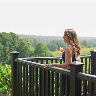 Dahlonega Wine Tours