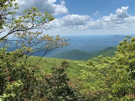 Appalachian Trail โ Dicks Creek Gap to Bly Gap
