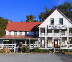 Nacoochee Antiques