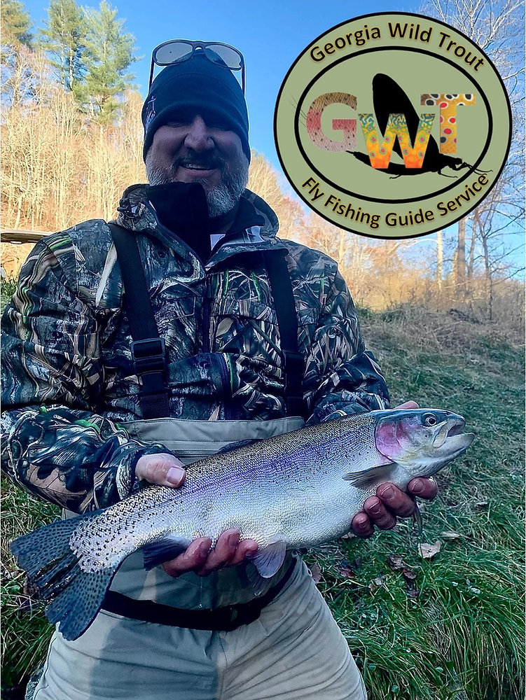 Georgia Wild Trout