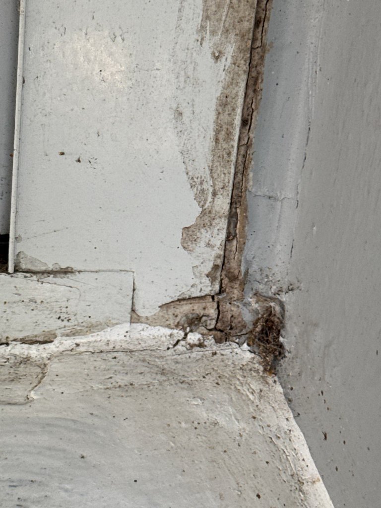Foundation crack damage