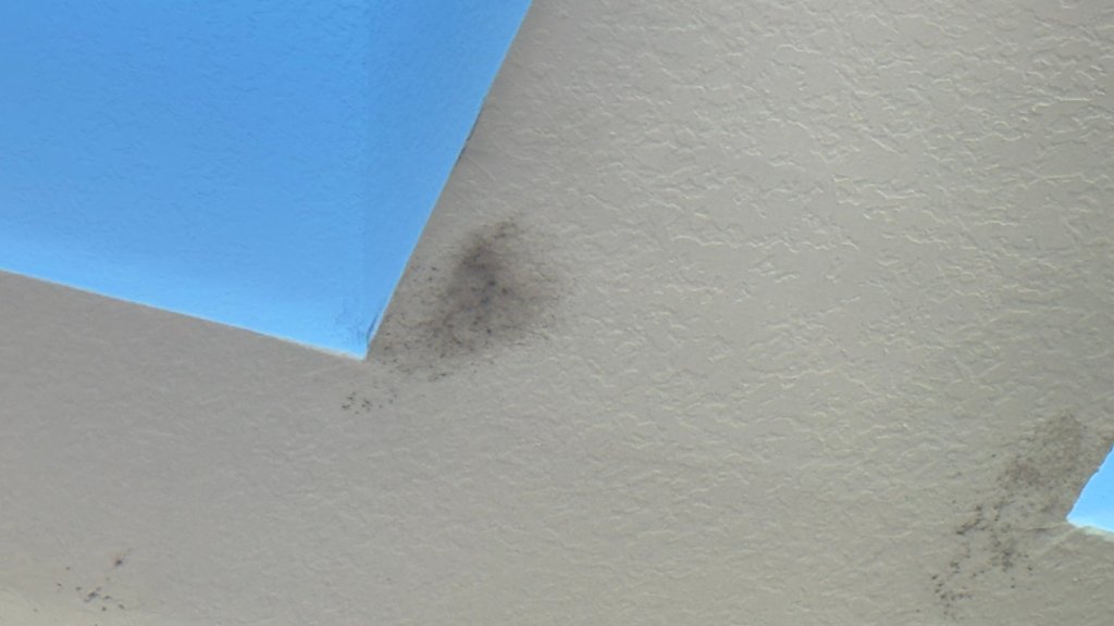 Floor water damage
