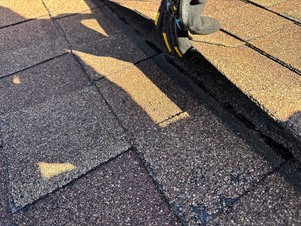 Roof shingle damage
