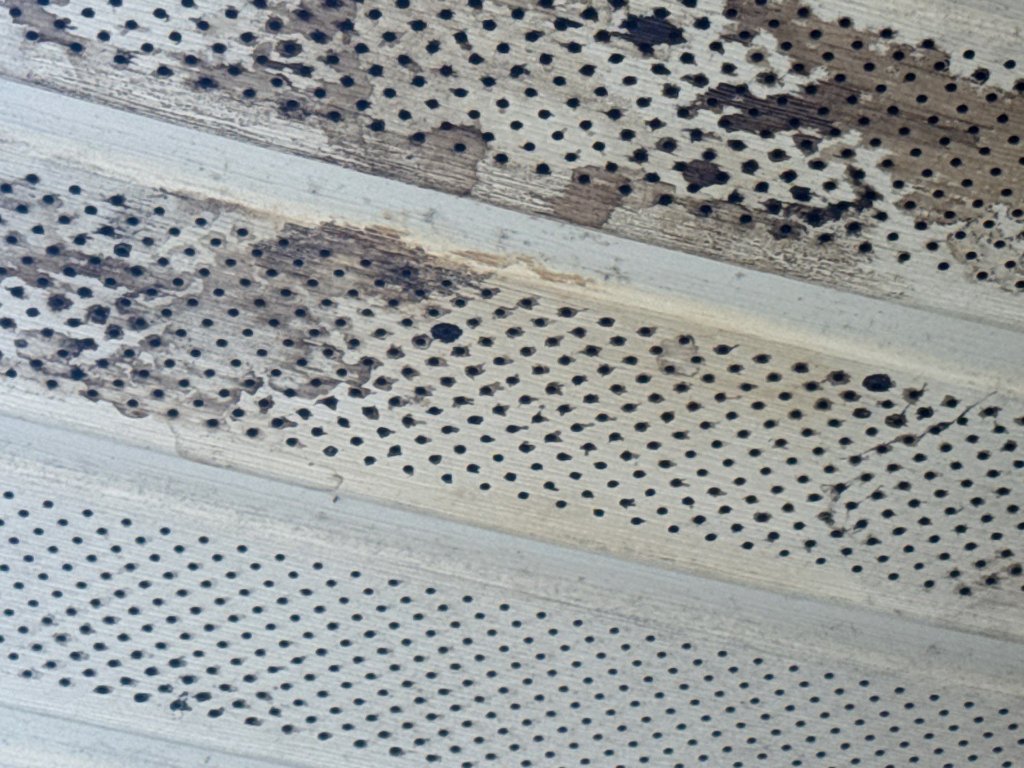 Roof tile missing