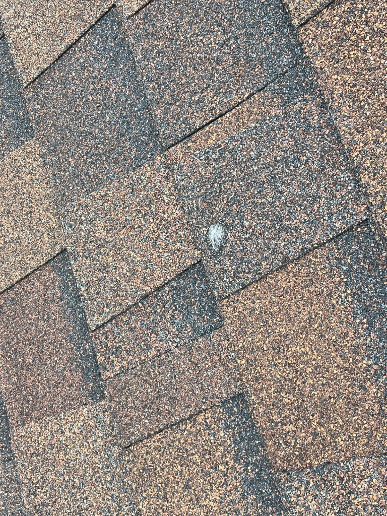 Hail damage shingles close up