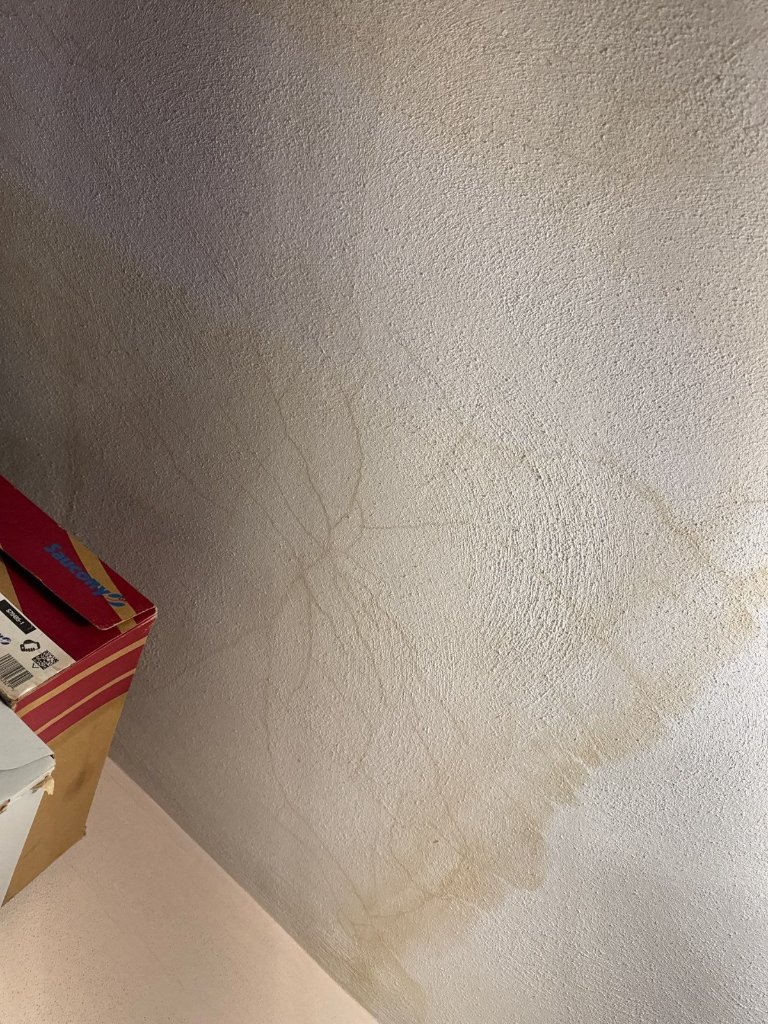 Ceiling stains