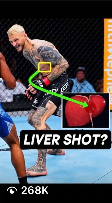 UFC breakdown